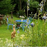 herons sur le chemin des amoureux